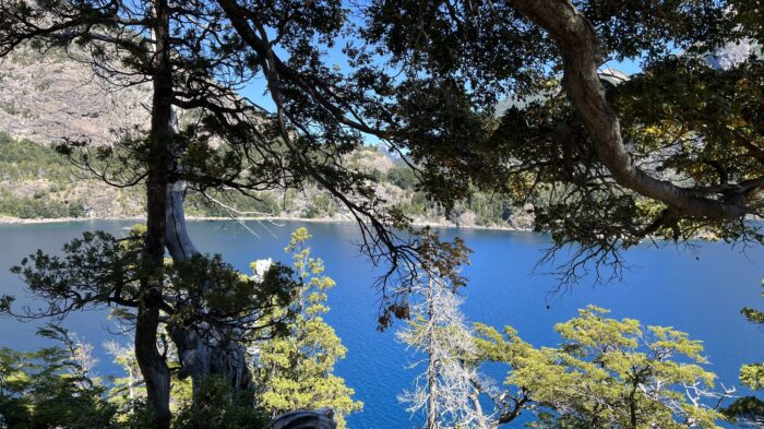 4ECD4CB3-DB22-473F-BEE8-D3E4393A9EF2