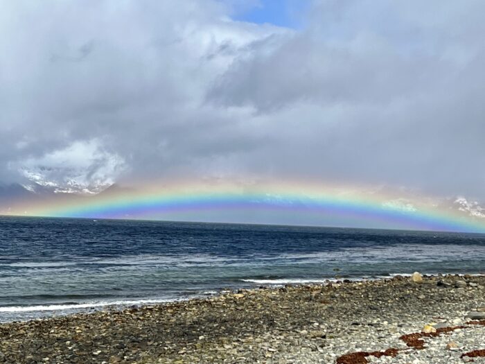 AD1EC149-4A83-4B38-800C-4A7CEA47D1C6